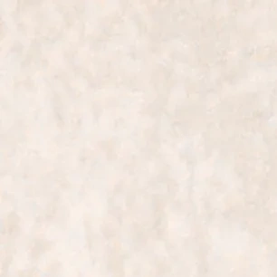 4170 Beige Pampas